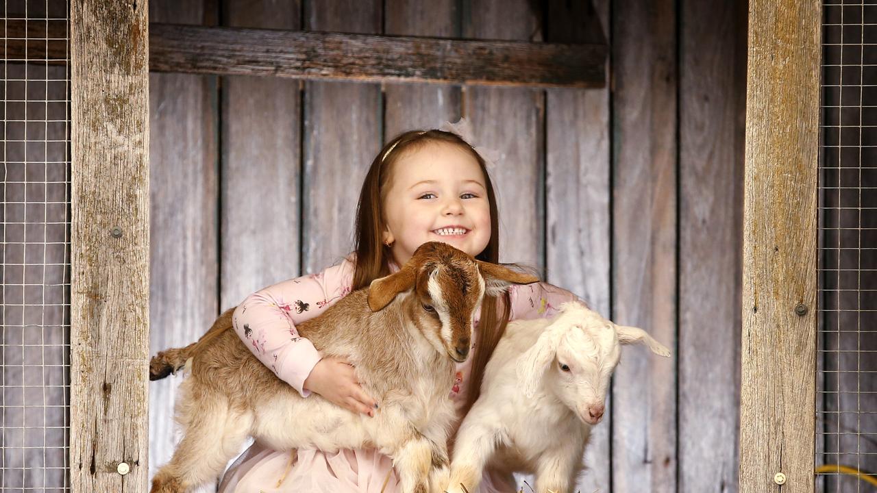 Royal Melbourne Show set to be greener than ever | Herald Sun