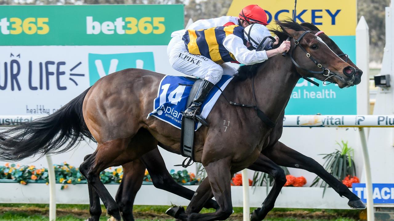 Pakenham races Tips, odds and racebyrace analysis Herald Sun