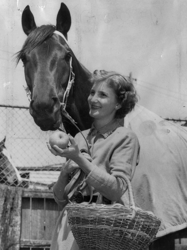 Rising Fast is given an apple by Thelma Williamson - wife of the horse's jockey, Bill Williamson in 1955. Picture pinted in <i>The Advertiser </i>on 1 Nov, 1955.