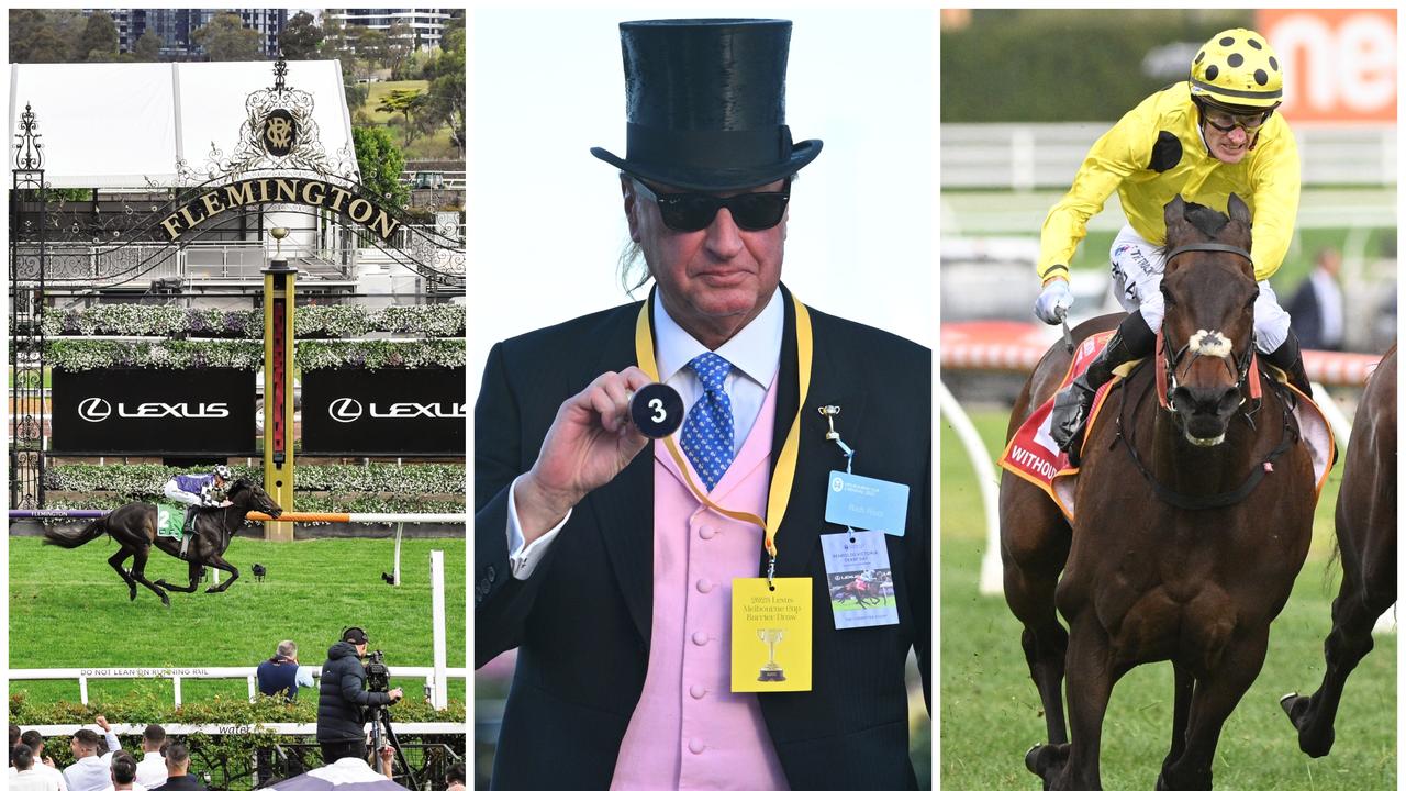 Melbourne Cup 2023 form guide, horses, tips, odds, field, analysis of