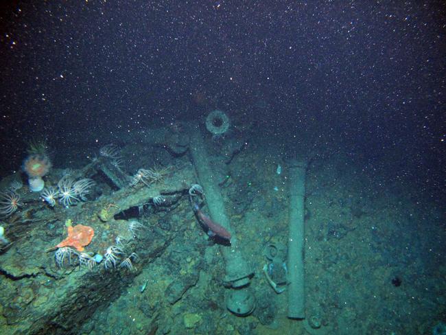 A remote-piloted vehicle captured this picture of the wreck, showing battery ventilation trunks from of HMAS AE1.