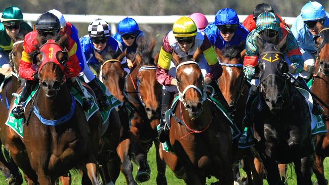 Loving home ridden by Tye Angland  (yellow cap, maroon with yellow armbands) wins race 1 during Scone  Races located in the Upper Hunter Region of NSW. The Bend . Pic Jenny Evans