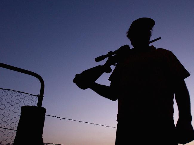 Professional kangaroo shooters can harvest more than 100,000 roos every year in Victoria.