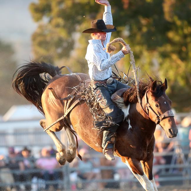 Mitchell Southern on Dealer, came in 5th for the saddle bronc. Picture: Yuri Kouzmin