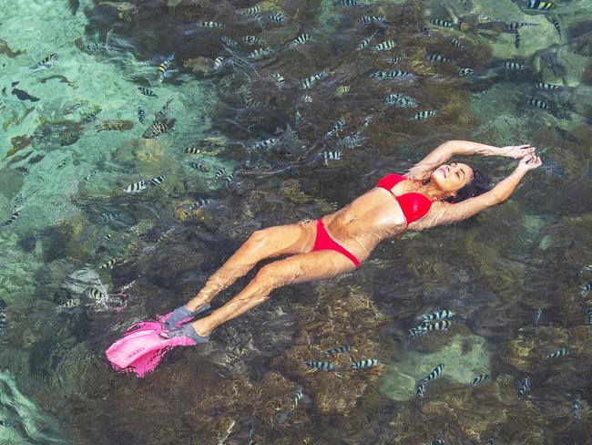 Worth protecting: A snorkeller relaxes over the coral and reef fish at Green Island on the Great Barrier Reef.