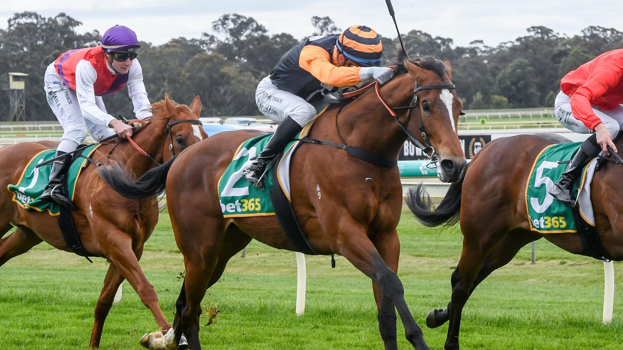 Nothing Silly ridden by Thomas Stockdale wins the bet365 Racing Refunds 2YO Maiden Plate at Bendigo Racecourse on October 16, 2021 in Bendigo, Australia. (Brett Holburt/Racing Photos via Getty Images)