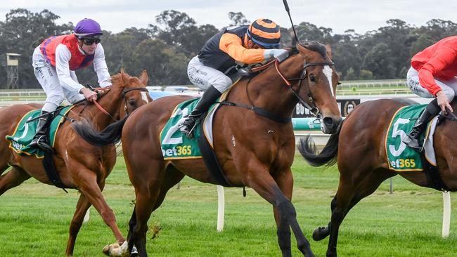 Nothing Silly won on debut at Bendigo in October. Picture: Racing Photos via Getty Images