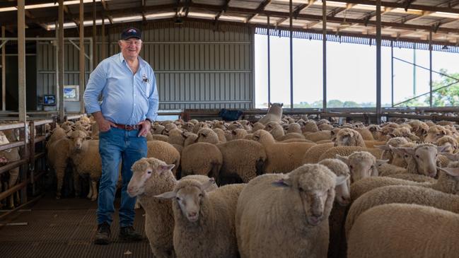 Roger Fletcher loading sheep at his meatworks Picture: David Roma