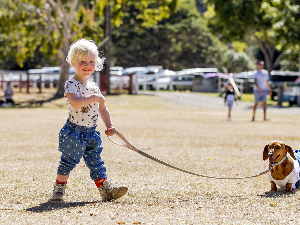 Aurelia Primus, 2, with Frankie at Paws at the Park held at Mudgeeraba showground on Sunday. Picture: Jerad Williams