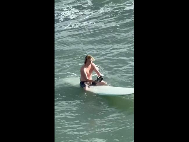 Heartwarming moment surfer saves struggling bird