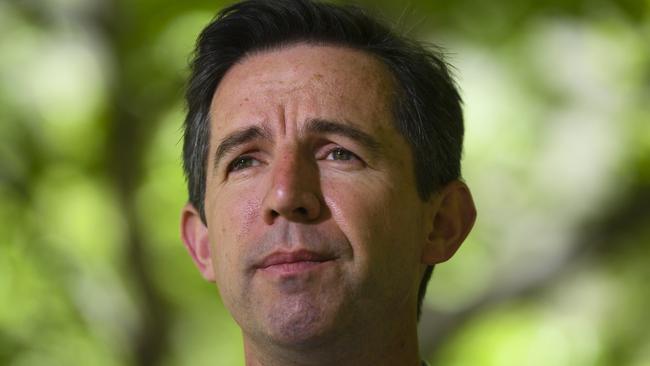 Australian Tourism Minister Simon Birmingham. Picture: AAP