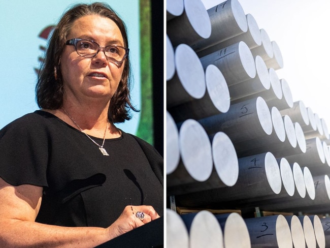 Resources Minister Madeleine King has issued a 'lifestyle' warning on green power, as Anthony Albanese prepares to unveil a $2bn plan to help aluminium smelters transition to renewables by 2036.