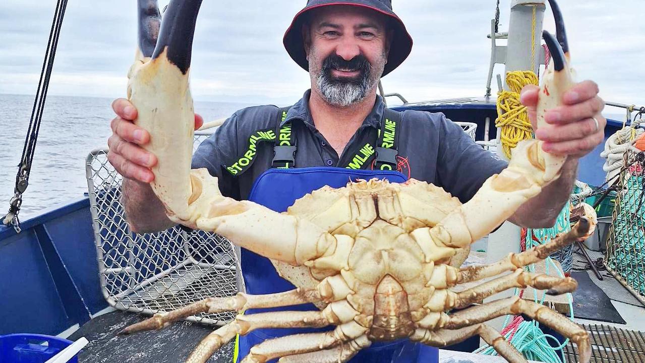 TV star catches mammoth giant crab in Tasmanian waters