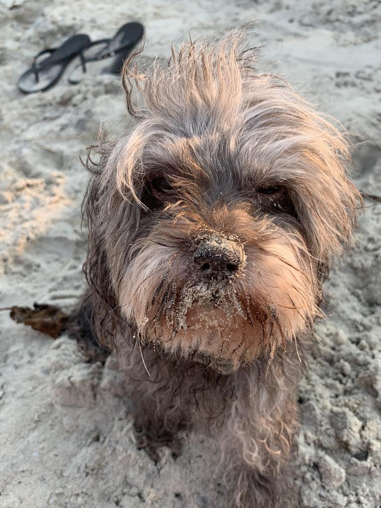 Molly Mcdonald. Loving the beach. Picture: Pennie Mcdonald