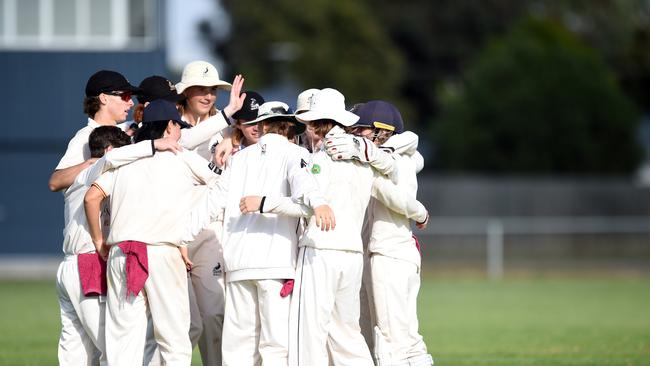 North Geelong junior cricketers celebrate getting another wicket in early 2023.