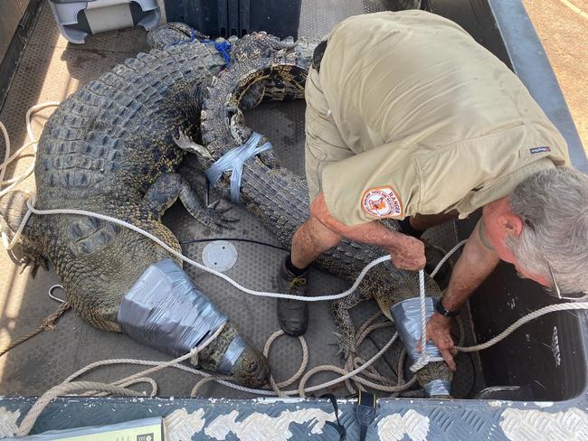 Huge, life-threatening croc caught in popular fishing spot