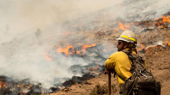 A controlled burn is planned for the Great Sandy National Park today, as part of the annual hazard reduction and conservation management program for parks and forests. Mathieu Lewis-Rolland/Getty Images/AFP.