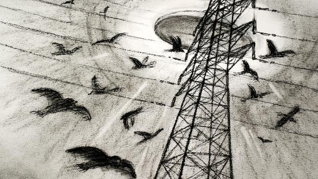 An illustration from the documentary Westall '66: A Suburban UFO Mystery.
