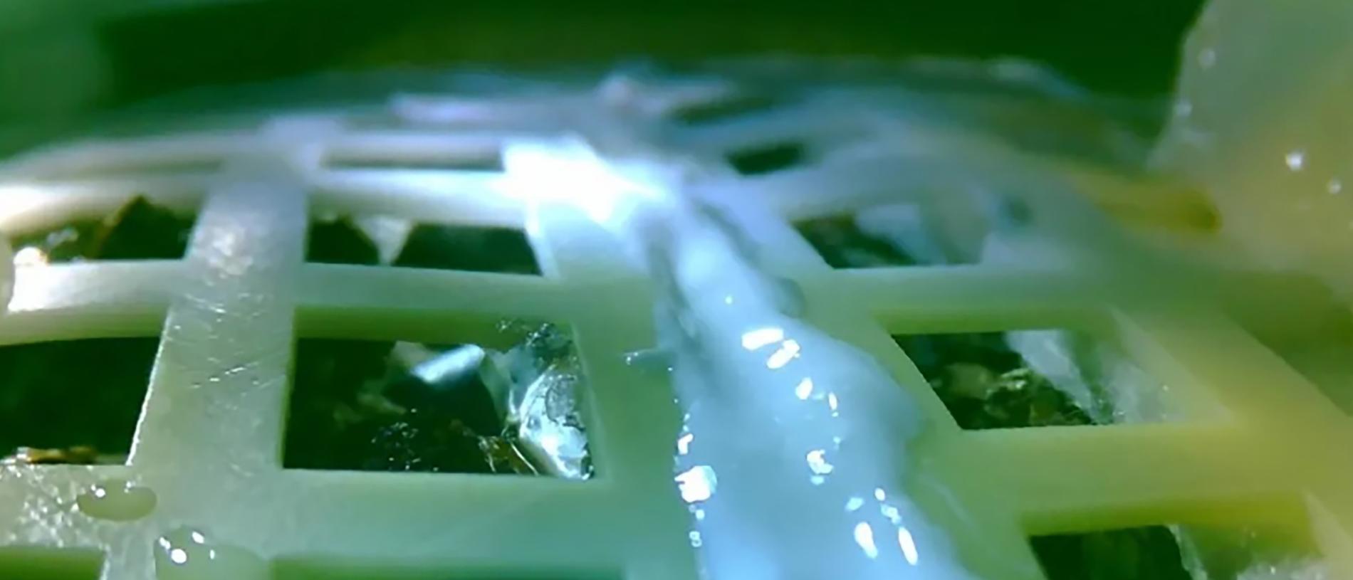 The cotton sprout grew in a lattice-structured container inside the Chang’e-4 moon probe.