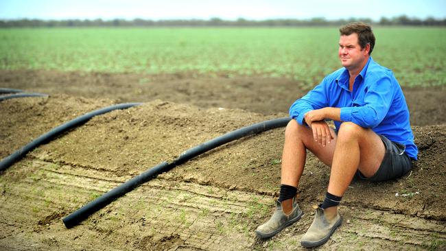 Top crops: Simon Corish on his property near Goondoowindi in Queensland.