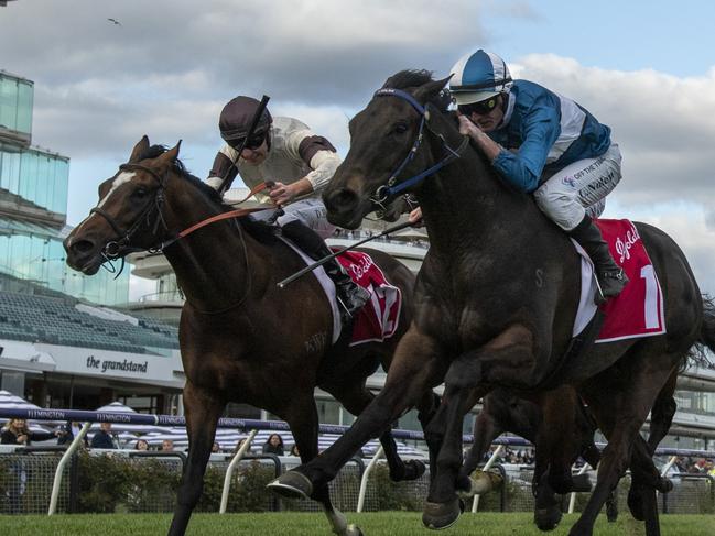 MELBOURNE, AUSTRALIA - SEPTEMBER 22: Luke Nolen riding Stylish Secret defeats Kingofwallstreet (L) in Race 6, the Penfolds Victoria Derby Preview - Betting Odds during Melbourne Racing at Flemington Racecourse on September 22, 2024 in Melbourne, Australia. (Photo by Vince Caligiuri/Getty Images)