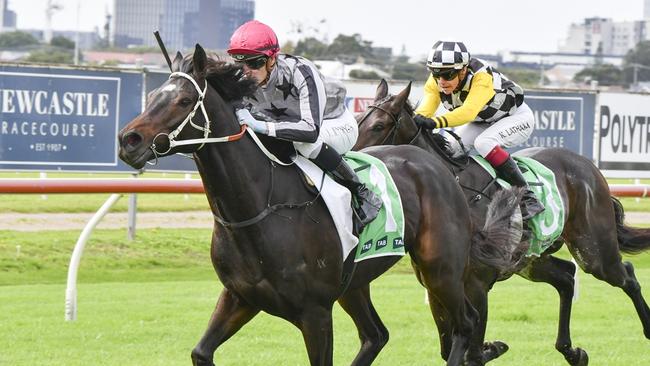 So Sleek looks well placed to break through for his first win this campaign at Warwick Farm. Picture: Bradley Photos