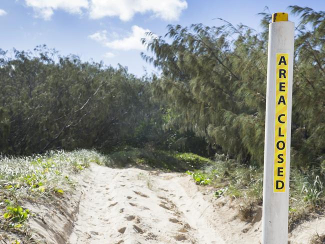 Entry to the camping area at One Tree Rocks on Fraser Island is closed after a 14-month-old was dragged from a camper trailer by a dingo around Midnight on Good Friday. Photo Lachie Millard