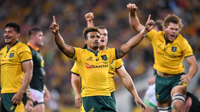 Will Genia of the Wallabies (centre) celebrates winning on full time with teammates during the Rugby Championship match between Australia and South Africa at Suncorp Stadium. Picture: AAP Image