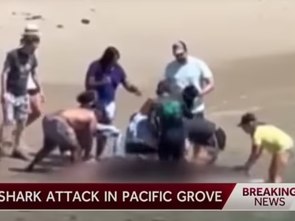 California shark attack. Picture: KSBW.