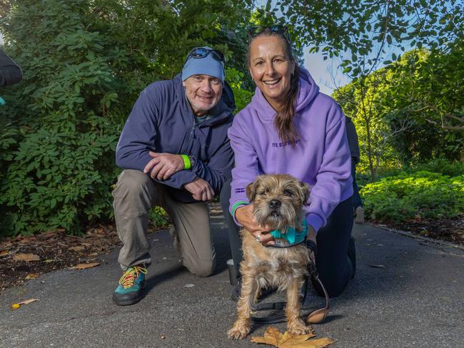 RSPCA SA's Million Paws Walk in Adelaide on May 25, 2025. Picture: Ben Clark