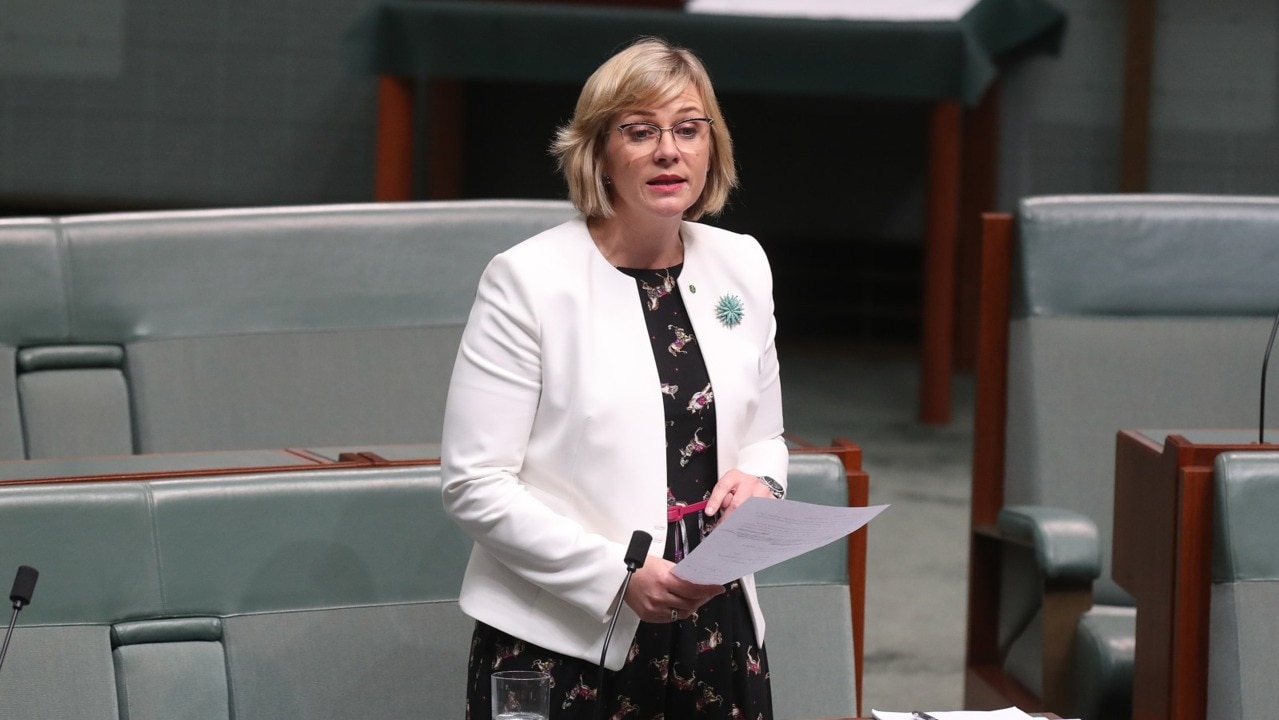 Steggall calls for political advertising law changes