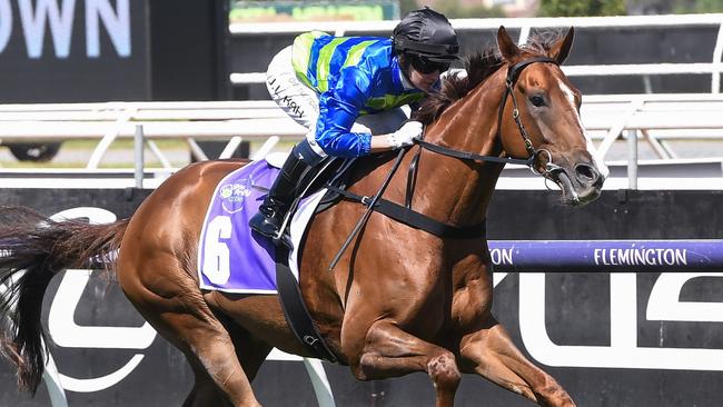 Another Wil is sweating on a run in the Doncaster Prelude. Picture: Brett Holburt / Racing Photos