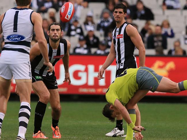 AFL: Round 9 Collingwood v Geelong Umpire Scott Jeffrey bounces the ball Brodie Grundy & Rhys Stanley in the ruck Picture:Wayne Ludbey