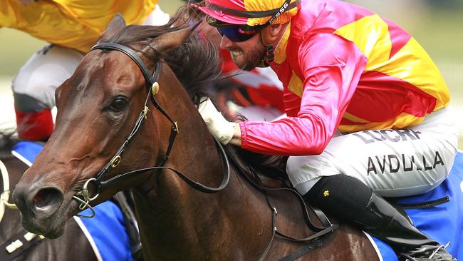 Bonny O'Reilly ridden by Brenton Avdulla wins race 4 at Rosehill Gardens. Pic Jenny Evans
