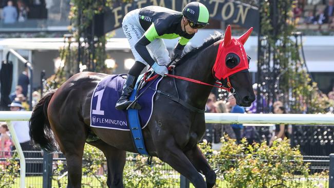 Doomben 10,000 contender Private Eye is likely to have a key tactical advantage over favourite I Wish I Wish. Picture: Racing Photos via Getty Images.