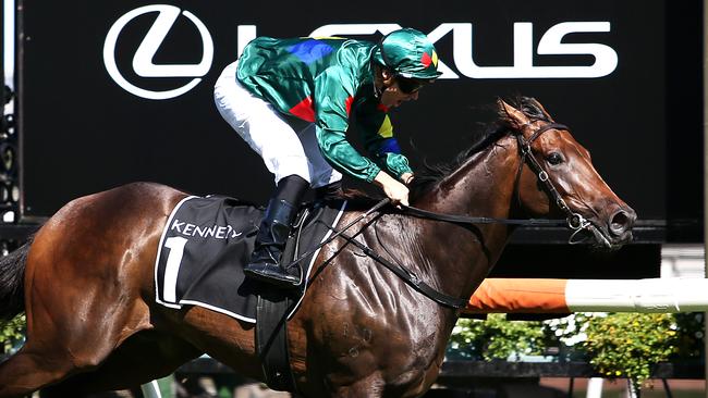 Alligator Blood is the favourite for the All-Star Mile. Picture: Getty Images