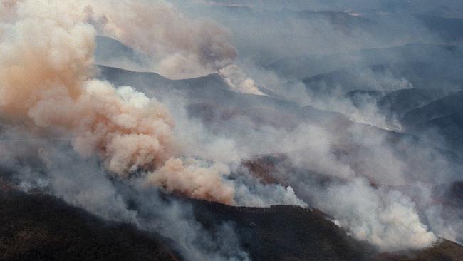 By January 6 this year bushfires had burned 1.2 million ha of Victoria.