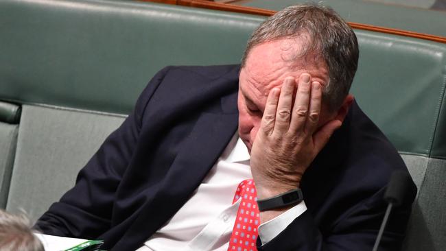 Former deputy prime minister Barnaby Joyce during Question Time in the House of Representatives last week.