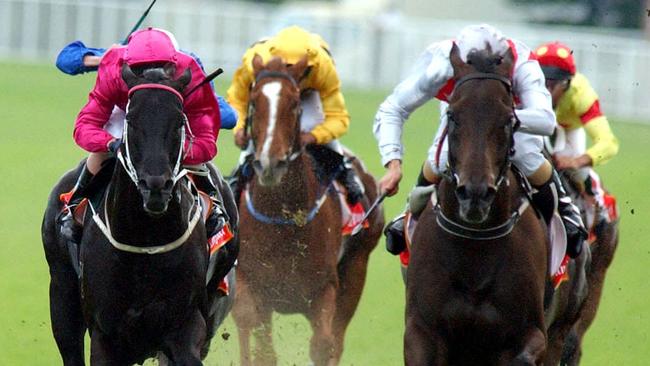 Grand Armee (right) upstaged Lonhro (left) in his final race, the 2004 Queen Elizabeth Stakes at Royal Randwick. 