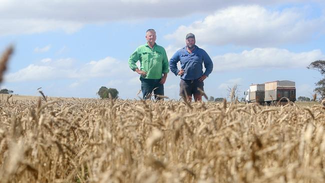 Matthew Richmond pictured harvesting wheat, with his uncle Craig Richmond at Little River. Picture: Yuri Kouzmin