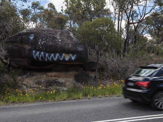 The large rock painted to look like the head of a lizard on the land known as “Lizard Rock” owned by Metropolitan Local Aboriginal Land Council at Belrose. (AAP Image / Julian Andrews)