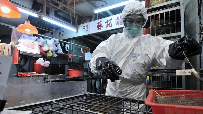 Chickens are culled in Hong Kong’s Sham Shui Po market after the deadly H5N1 avian bird flu virus was found in 2008. Picture: AFP