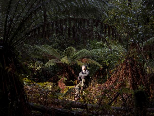 Chris Watson on location at Hastings Caves State Reserve, Southern Tasmania, Australia, site of his artwork 'Hrafn: Conversations with Odin' for Project X, opening June 2019 during Dark Mofo 2019.