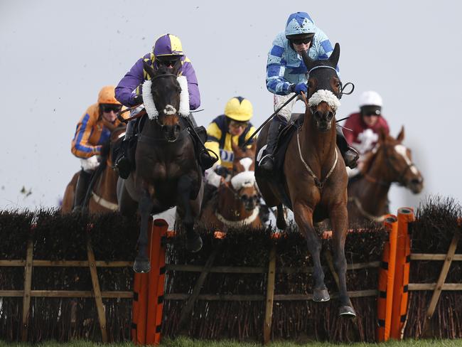 Dinsdale (left) was one of the horses that got home. (Photo by Alan Crowhurst/Getty Images)