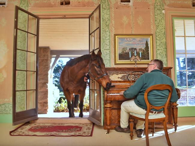 Retired champion racehorse Chief De Beers pops into visit Andrew Clarke. Picture: Tony Gough