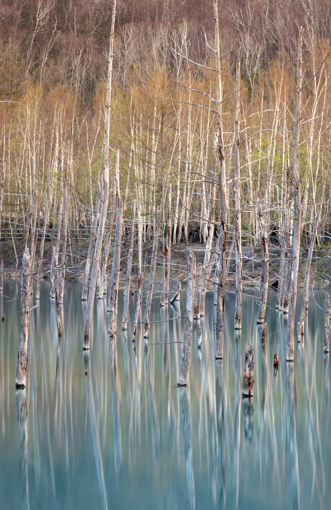 7th International Landscape Photographer of the Year competition. Australian photographer, Craig Mcgowan Biei, Hokkaido, Japan.