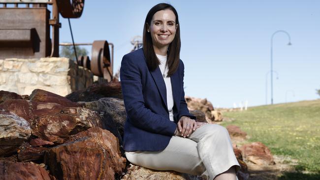 NSW Resources Minister Courtney Houssos. Picture: Richard Dobson