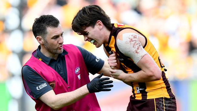 MELBOURNE, AUSTRALIA - AUGUST 18: Will Day of the Hawks receives medical attention during the round 23 AFL match between Hawthorn Hawks and Richmond Tigers at Melbourne Cricket Ground, on August 18, 2024, in Melbourne, Australia. (Photo by Josh Chadwick/AFL Photos/via Getty Images)