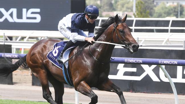 What You Need comfortably won his first three starts, including a victory in last year’s $500,000 Sunlight Classic, before he needed a throat operation. Picture: Racing Photos via Getty Images