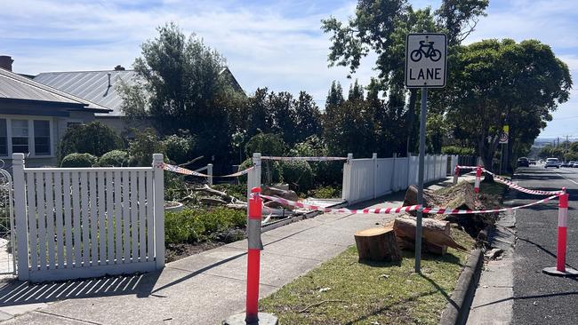 Damage following Geelong's wild storm weather.